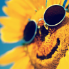 Photo
Sharing and Video Hosting at Photobucket
