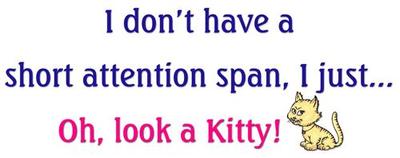 Oh, Look A Kitty!!!!